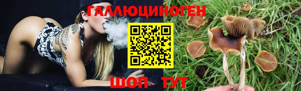 Галлюциногенные грибы ЛСД Клинцы