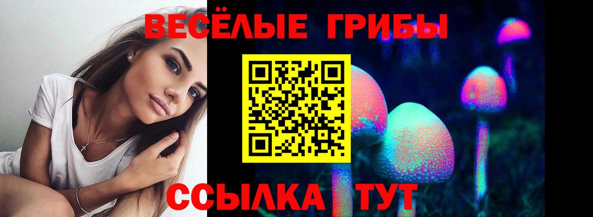 Галлюциногенные грибы Cubensis  Вход с VPN  Клинцы  Галлюциногенные грибы Psilocybe 